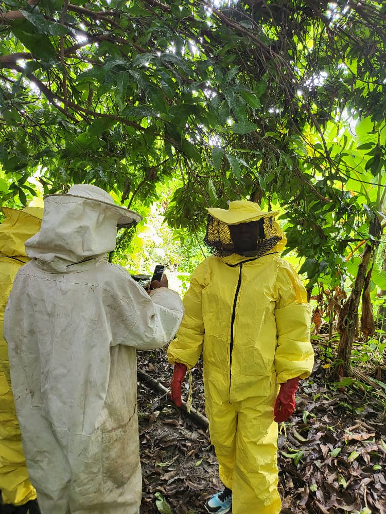 Beekeepers receiving practical field guidance