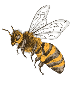 Flying Honey Bee