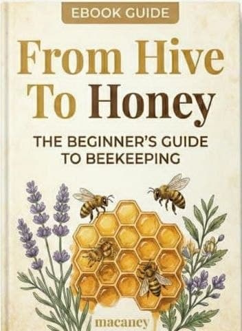 From Hive To Honey Ebook Guide